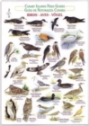 Image for Birds (Waterproof Field Guide)