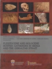 Image for Pleistocene and Holocene Hunter-Gatherers in Iberia and the Gibraltar Strait : The current archaeological record