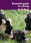 Image for Essential Guide to Calving