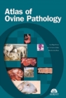 Image for Atlas of Ovine Pathology