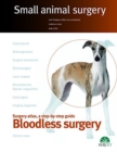 Image for Bloodless surgery. Small animal surgery