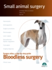 Image for Bloodless surgery. Small animal surgery