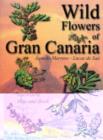 Image for Wild Flowers of Gran Canaria