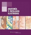 Image for Anatomia Y Patologia Ilustradas