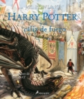 Image for Harry Potter y el caliz de fuego. Edicion ilustrada / Harry Potter and the Goblet of Fire: The Illustrated Edition