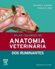 Image for Atlas Colorido De Anatomia Veterinaria Dos Ruminantes