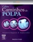 Image for Caminhos Da Polpa: Endodontia