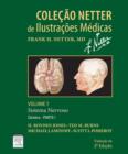 Image for Sistema Nervoso - Volume 7 - Parte I - Cerebro: Colecao Netter de Ilustracoes Medicas