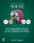 Image for Nolte Fundamentos de Neuroanatomia