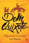 Image for Dom Quixote