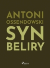 Image for Syn Beliry