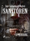 Image for Sanitoren 6: Upprensning