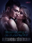 Image for Stroomstoring in de studentenflat - erotisch verhaal