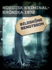 Image for Bildskone Bengtsson