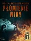 Image for Plomienie winy: czesc 1