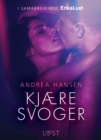 Image for Kjaere Svoger - En Erotisk Novelle