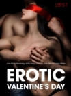 Image for Erotic Valentine&#39;s Day - 6 erotiske historier