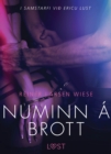 Image for Numinn a brott - Erotisk smasaga