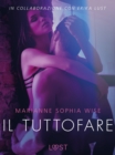 Image for Il tuttofare - Letteratura erotica