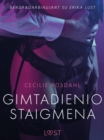 Image for Gimtadienio staigmena - erotine literatura