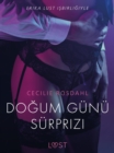 Image for Dogum Gunu Surprizi - Erotik Oyku
