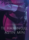 Image for Til hamingju, astin min - Erotisk smasaga