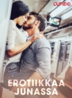 Image for Erotiikkaa junassa
