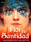 Image for Flor de Santidad