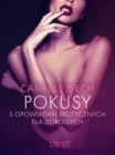 Image for Pokusy - 5 opowiadan erotycznych dla doroslych