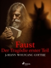 Image for Faust. Der Tragodie Erster Teil