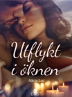 Image for Utflykt i oknen - erotisk novell