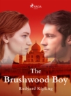 Image for Brushwood Boy