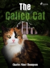 Image for Calico Cat