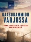 Image for Kaasukammion varjossa: suomalaiskohtaloita Stutthofin kuolemanleirilla
