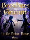 Image for Little Briar-Rose