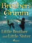 Image for Little Brother and Little Sister