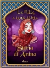 Image for Storia Di Amina (Le Mille E Una Notte 16)