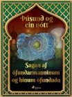 Image for Sagan af ofundarmanninum og hinum ofundaa (usund og ein nott 32)