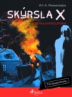 Image for Skyrsla X - Brennuvargurinn