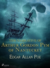 Image for Narrative of Arthur Gordon Pym of Nantucket