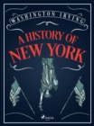 Image for A History of New York