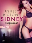 Image for Sidney 3 : L&#39;Agression - Une nouvelle erotique