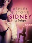 Image for Sidney 2 : La Salope - Une nouvelle erotique