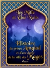 Image for Histoire du prince Amgiad et d&#39;une dame de la ville des Mages 