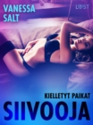 Image for Kielletyt paikat: Siivooja - eroottinen novelli