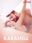 Image for Karamell - erotisk novell