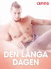 Image for Den langa dagen - erotisk novell