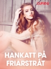 Image for Hankatt pa friarstrat - erotisk novell