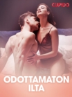 Image for Odottamaton ilta - eroottinen novelli