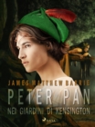 Image for Peter Pan nei giardini di Kensington